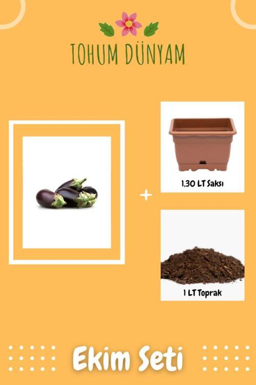 Antep Dolmalık Kurutmalık Patlıcan Tohumu Ekim Seti