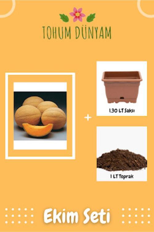 Turuncu Kavun Tohumu Ekim Seti