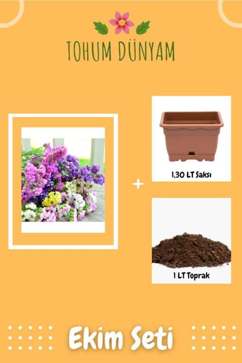 Deniz Lavantası Çiçek Tohumu Ekim Seti