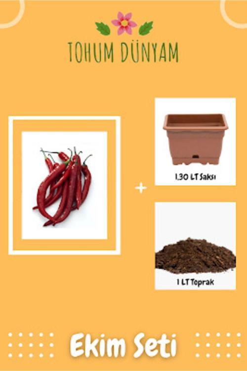 Uzun Kırmızı Cayanne Biber Tohumu Ekim Seti