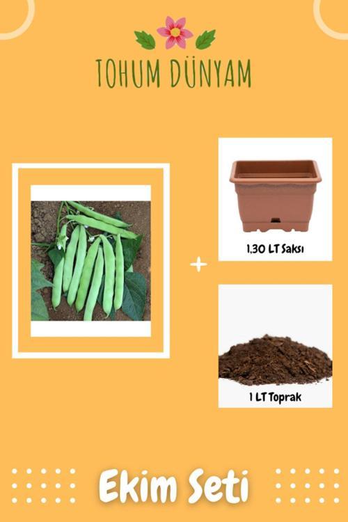 Kevser (Sarı Kız) Oturak Fasülye Tohumu Ekim Seti