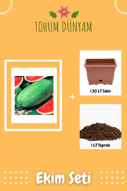 Nadir Ithal Çarliston Gray Karpuz Tohumu Ekim Seti