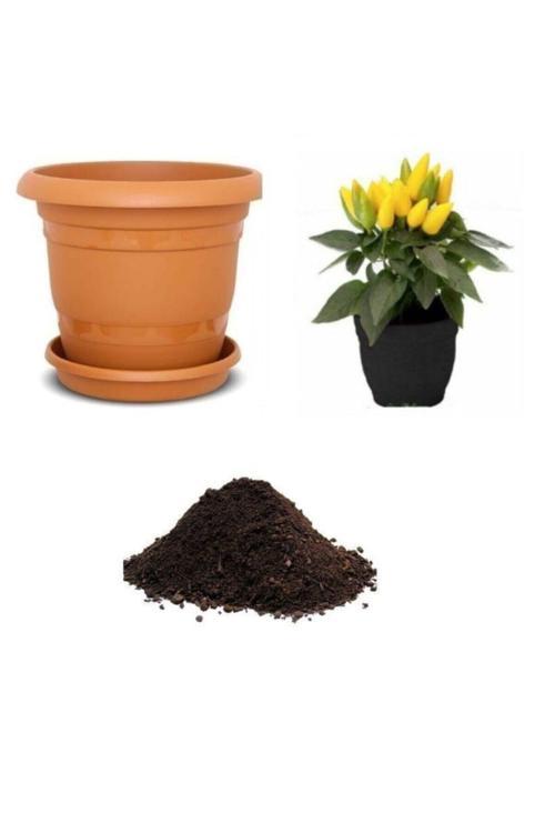 Acı Yayla Biberi Tohumu Ekim Seti