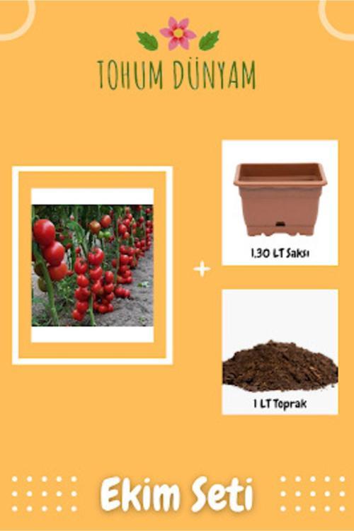 Sırık Domates Tohumu Ekim Seti