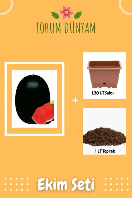 Meşhur Halep Siyah Karpuz Tohumu Ekim Seti