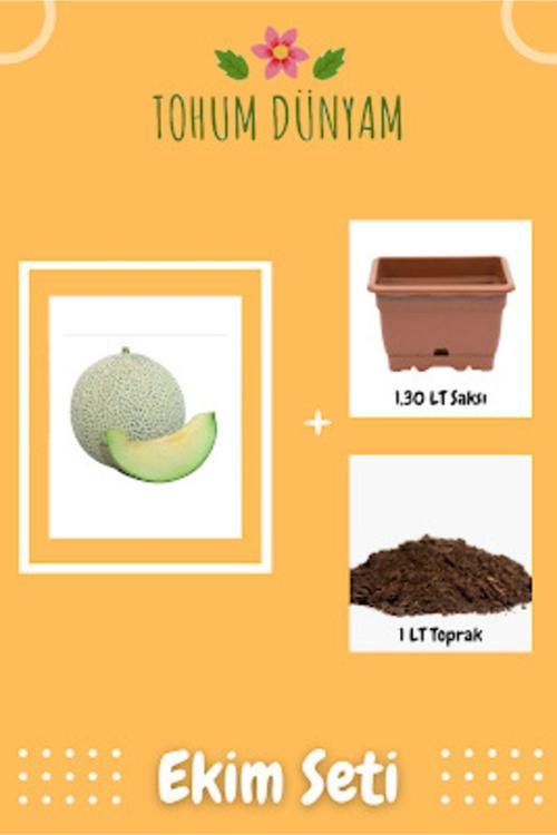 Nadir Ithal Japon Kavunu Tohumu Ekim Seti