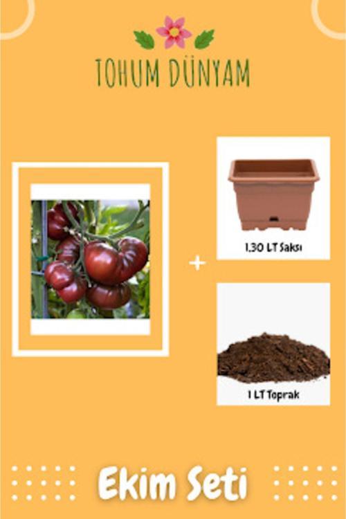 Siyah Kırım Domates Tohumu Ekim Seti