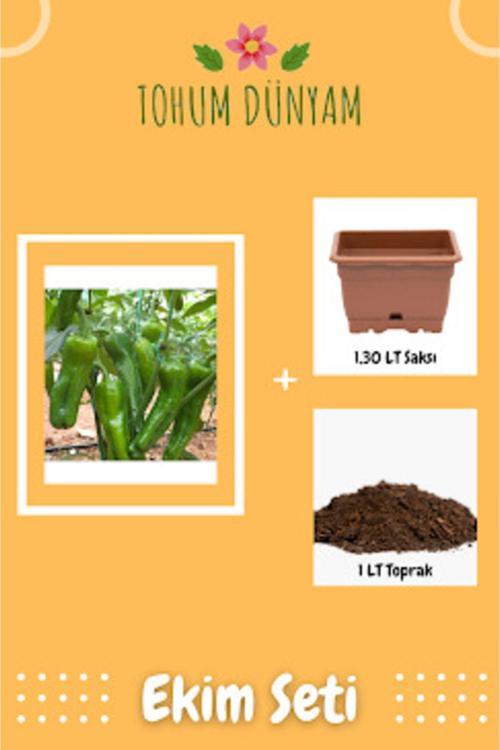 Yediveren Üç Burun Biber Tohumu Ekim Seti