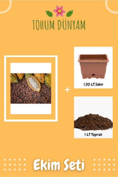 Organik Kakao Ağacı Tohumu Ekim Seti