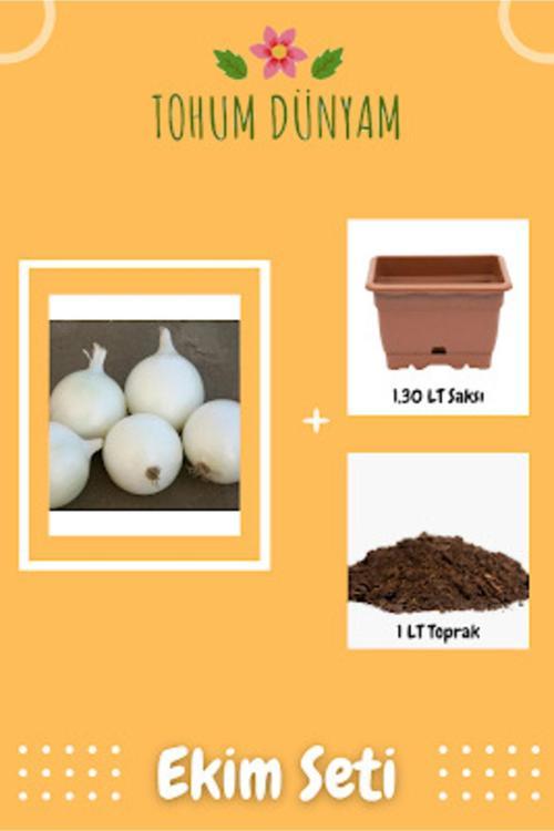 Beyaz Soğan Tohumu Ekim Seti