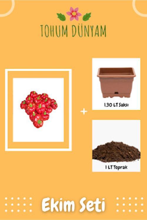 Nadir Ithal Peynir Biberi Tohumu Ekim Seti