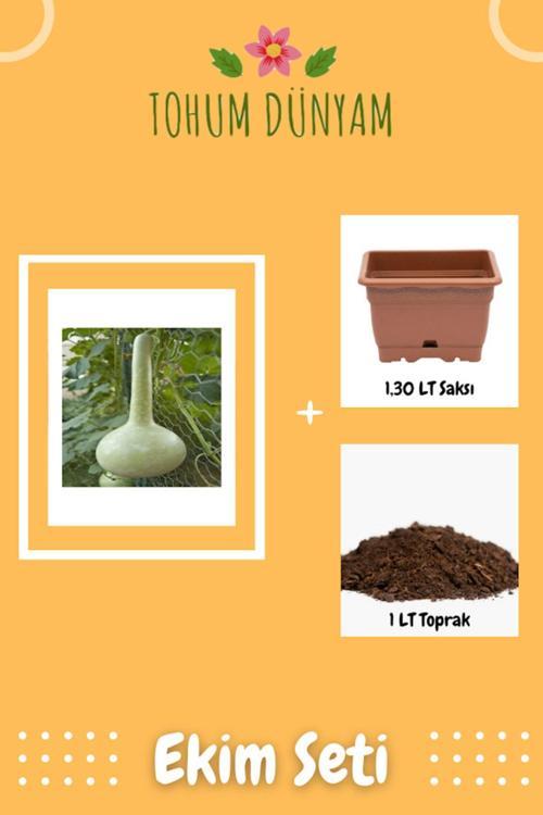 Nadir Su Kabağı Tohumu Ekim Seti