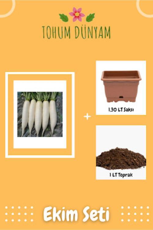 Japon Turp Tohumu Ekim Seti