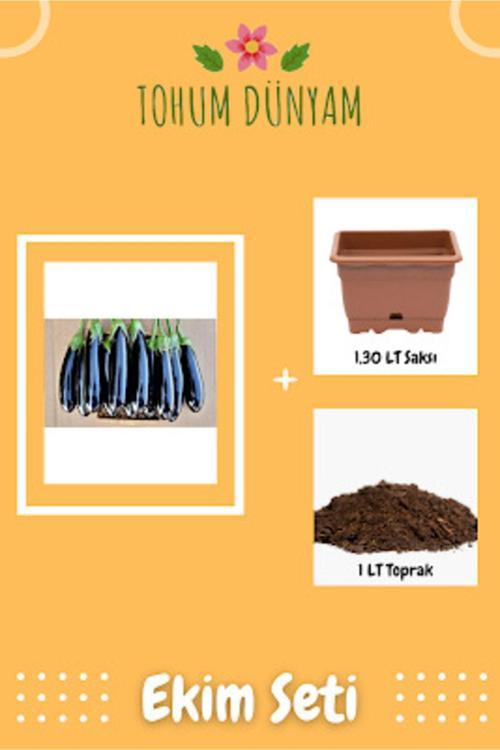 Uzun Patlıcan Tohumu Ekim Seti