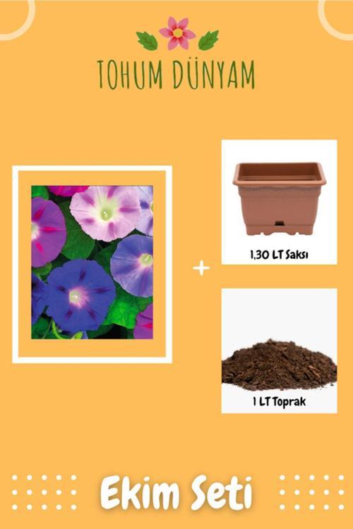 Sarmaşık-Gündüz Sefası Tohumu Ekim Seti