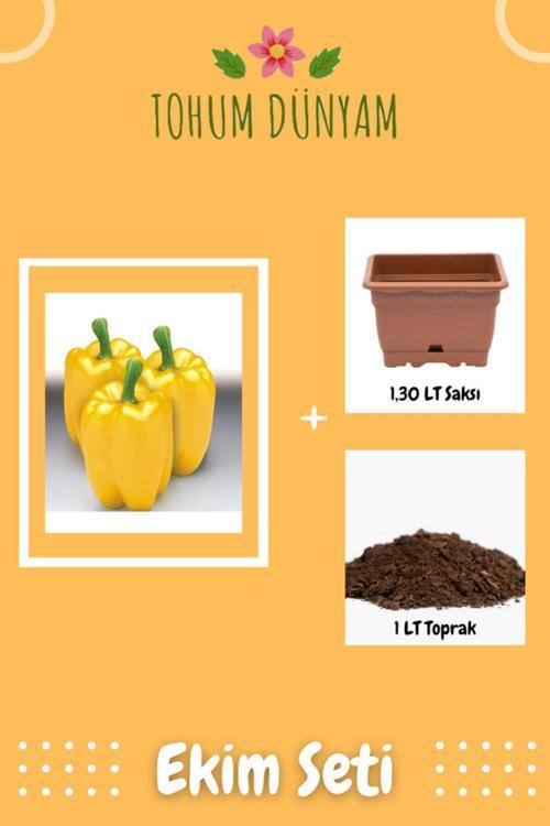 Sarı Dolmalık Biber Tohumu Ekim Seti