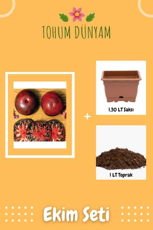 Kızıl Derili Mor Domates Tohumu Ekim Seti