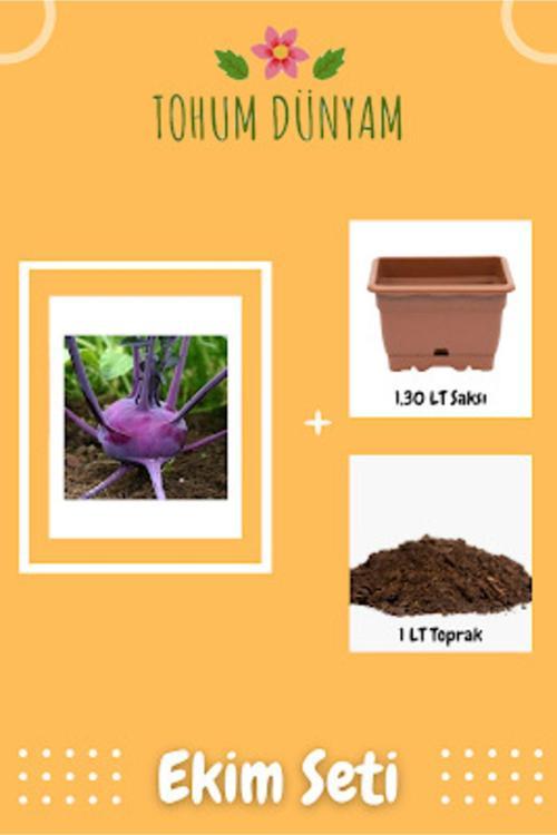 Yerli Mor Alabaş Tohumu Ekim Seti