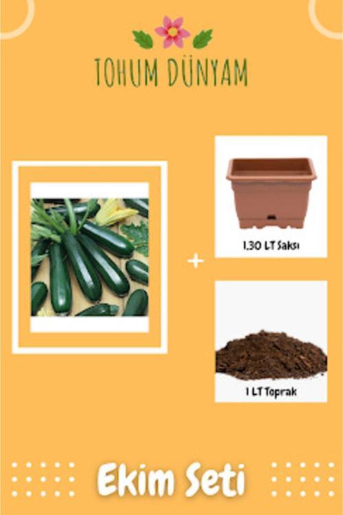 Kolsuz Kara Kabak Tohumu Ekim Seti