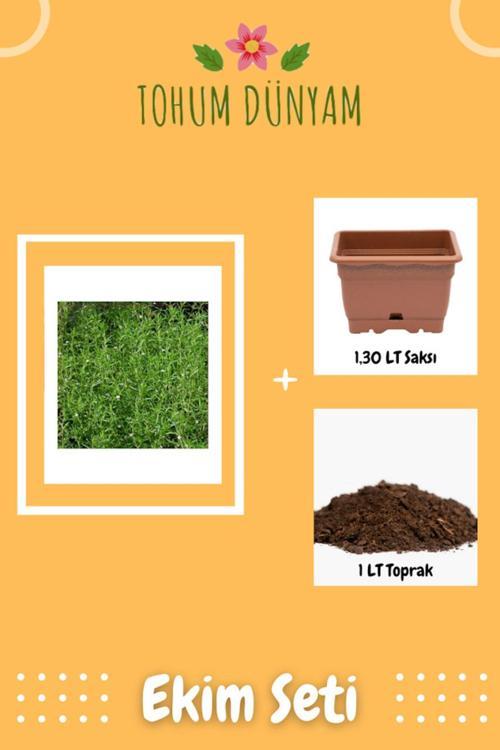 Kekik Tohumu Ekim Seti