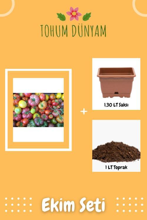 Köy Tipi Domates Tohumu Ekim Seti