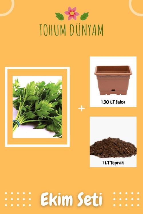 Yerli Maydanoz Tohumu Ekim Seti