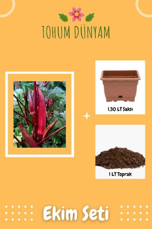 Red Burgundy Bamya Tohumu Ekim Seti