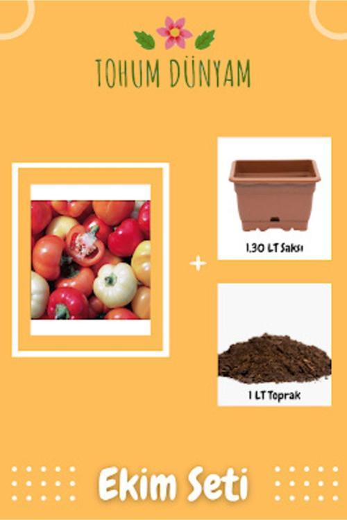 Paprika Çok Renkli Biber Tohumu Ekim Seti
