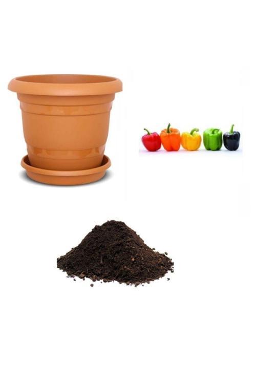 Rengarenk Dolmalık Biber Tohumu Ekim Seti