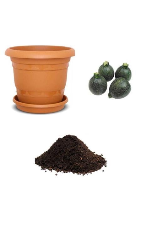 Nadir Topak Kabak Tohumu Ekim Seti