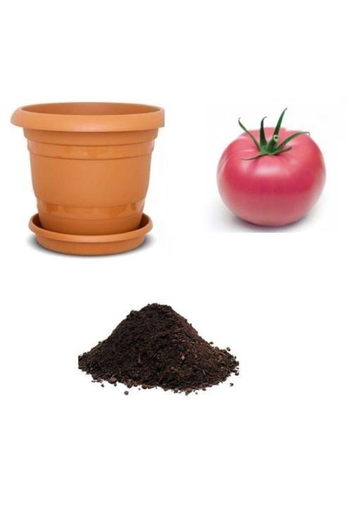 Nadir Dev Pembe Domates Tohumu Ekim Seti