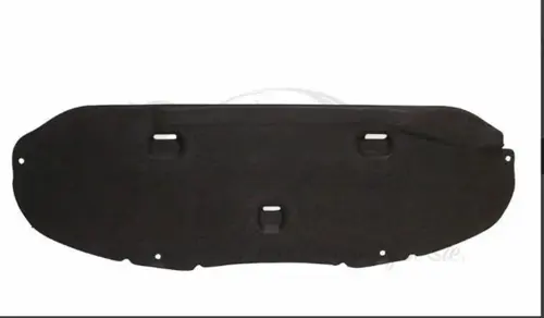 ÖN KAPUT İZOLASYON KEÇESİ CLIO 3 8200300632