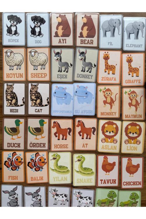İngilizce Türkçe Eğitici Eşleştirme Hafıza Zeka Kartları Hayvanlar ( Yırtılmaz Ve Yıpranmaz)