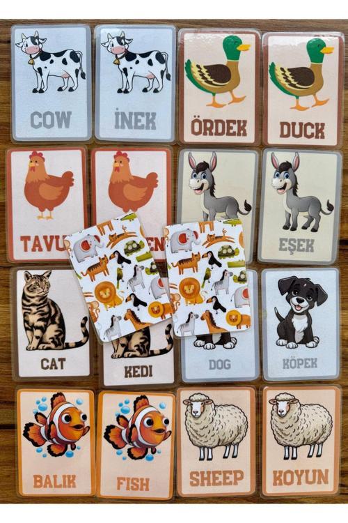Yırtılmaz Yıpranmaz İngilizce Türkçe Eğitici Eşleştirme Hafıza Zeka Kartları Hayvanlar1