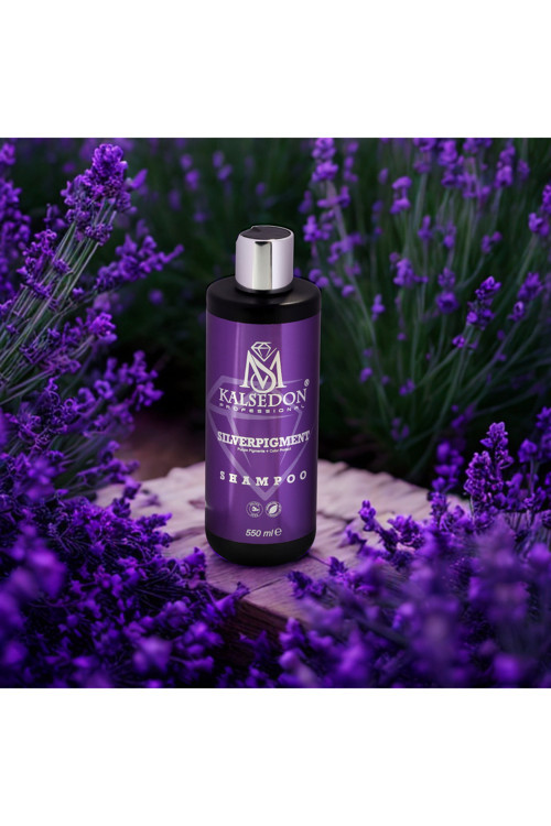Professional Silver Şhampoo 550Ml