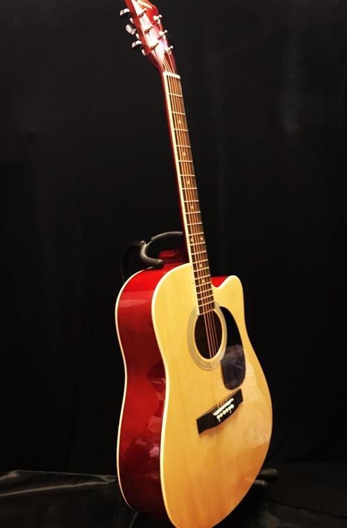 Akustik Gitar (kılıf+pena )