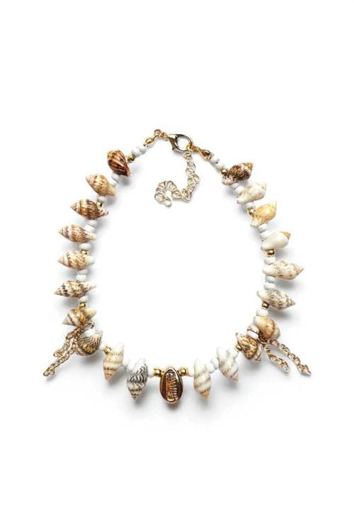 DENİZ KABUĞU MİDYE HALHAL