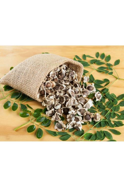 Moringa Ağacı Tohumu 25 Gr - Mucize Ağaç