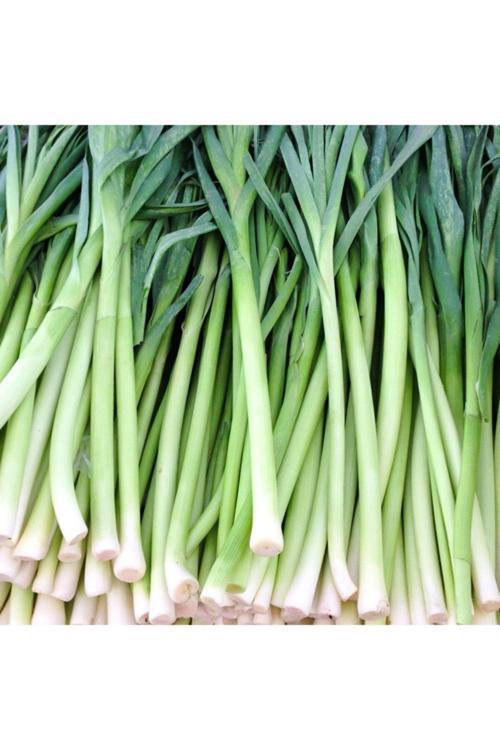 Uzun Bacaklı Pırasa Tohumu-10 Gram