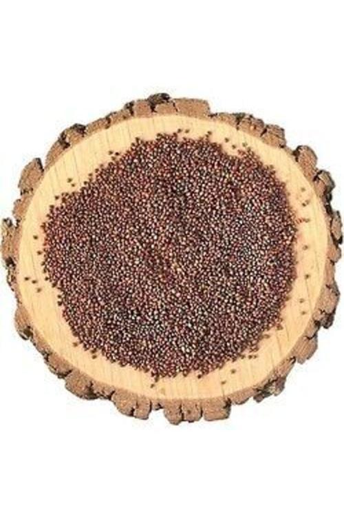 Zbd Roka Tohumu 100 Gr