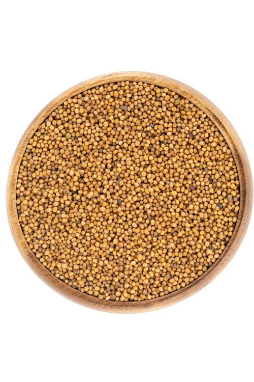 Sarı Hardal Tohumu 50 Gr