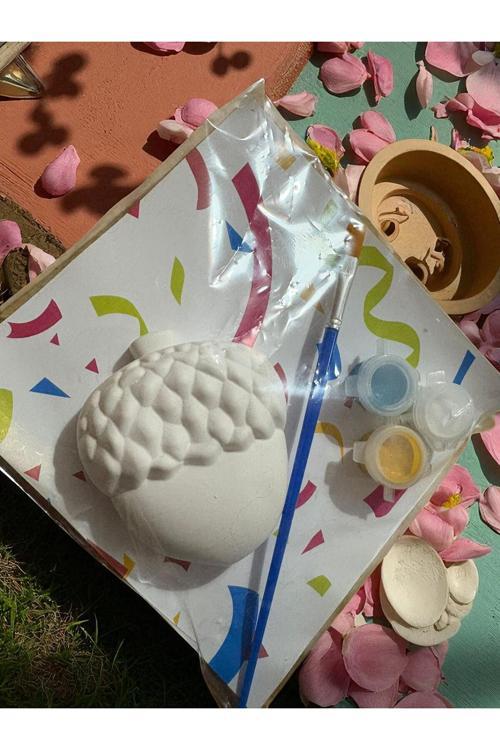 15 Adet (7+8) - Yaprak - M.Palamutu /Taş Boyama Seti, Dıy, Kendin Yap, Doğum Günü Hediyesi