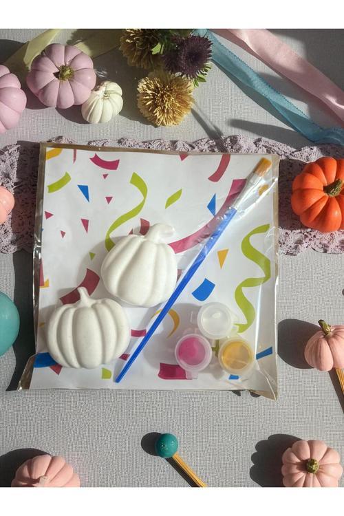 10 Adet Bal Kabağı Taş Boyama Seti, Dıy, Kendin Yap, Doğum Günü Hediyesi