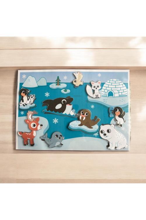 Çocuk Etkinlik Kartları Alaska Kutup Hayvaları Canlılar Etkinlik Seti