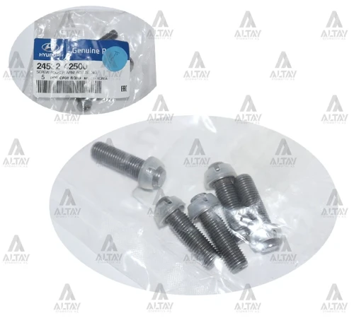 CİVATA SUPAP AYAR H-100 / KMY / L-300 PLASTİK UÇ 24532 42500 (5 ADET)