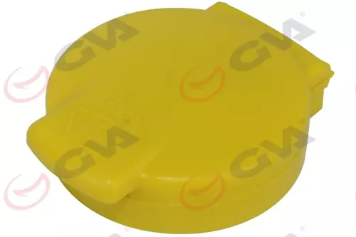 SU FİSKİYE DEPO KAPAĞI CLIO 5 289139896R