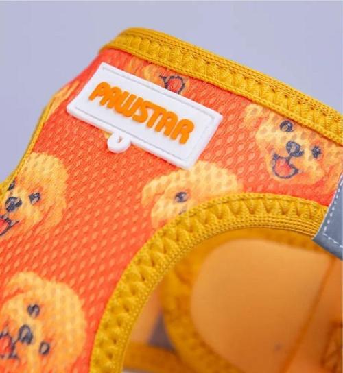 Poodle Airmesh Kedi Köpek Göğüs Tasması