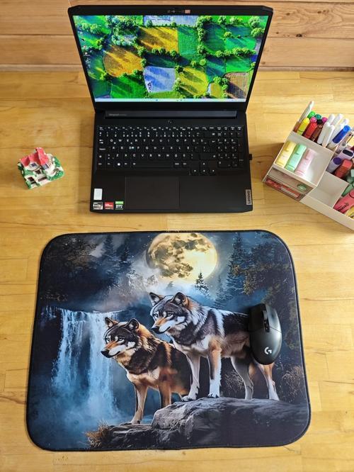 55X45 CM İKİ KURT KAYDIRMAZ TABAN SPEED YÜZEY OYUNCU MOUSE PAD GAMİNG PAD