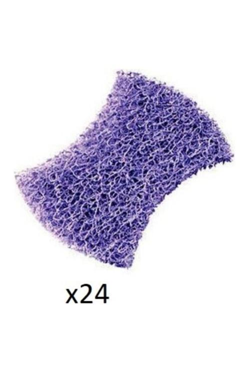 Sb 2020 Ovma Pedi Mor 24 Lü N11.2677