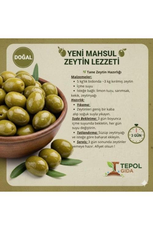 Tane Yeşil Zeytin Bahçeden 1 Kg